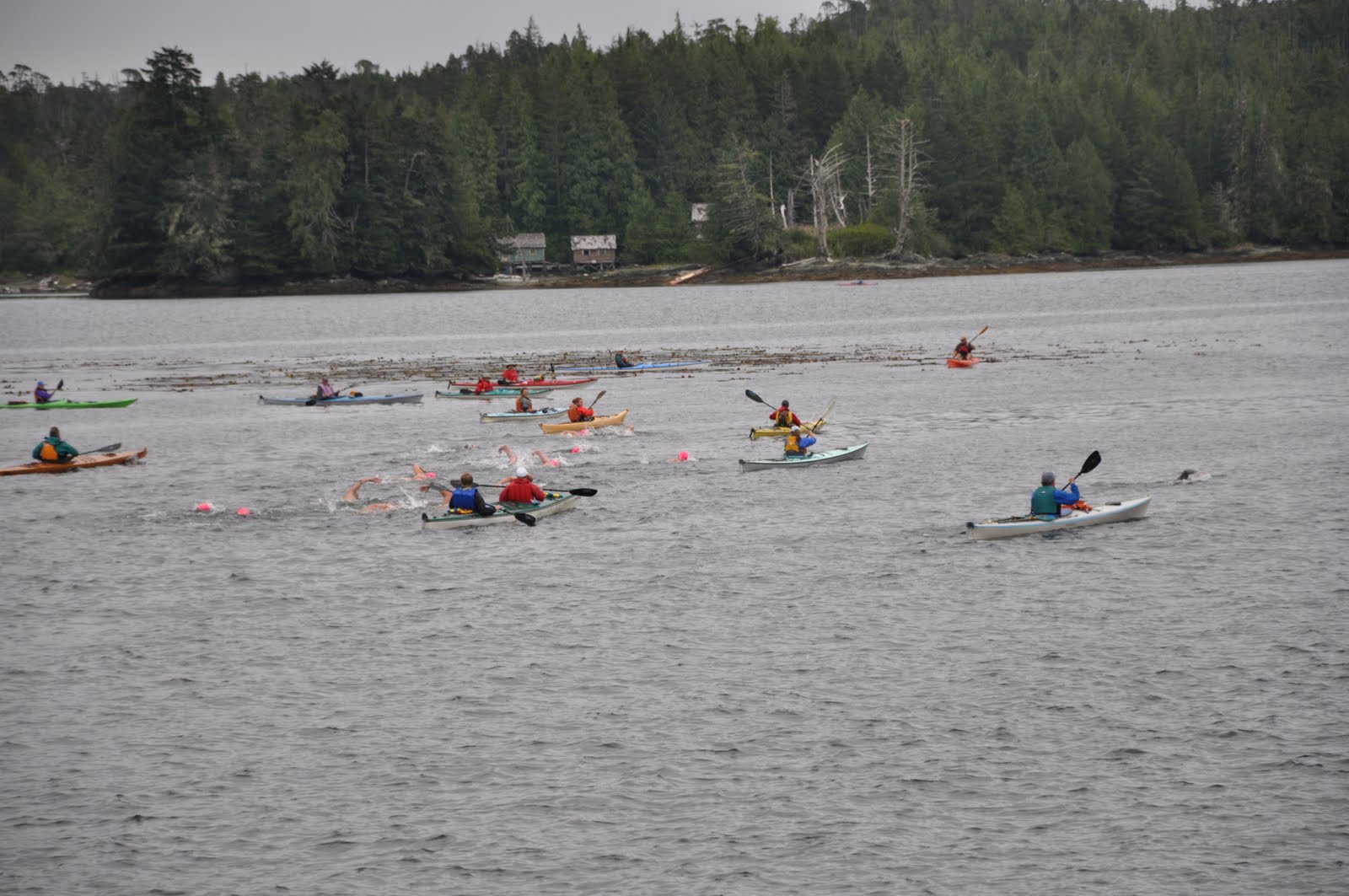 [Tucker bounds and rachel maddow lee mead and rachel tucker] [lee