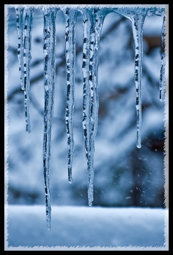 [stalactite+de+iarna.jpg]