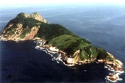 [queimada_grande2.jpg]