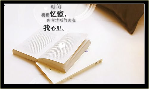 [20090512-12.jpg]