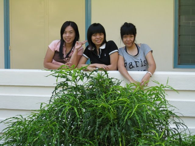 [IMG_2535E.JPG]