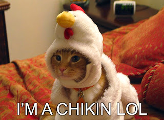 http://4.bp.blogspot.com/_wLhaddmXrRM/TLsnhiNbTHI/AAAAAAAAAJg/Z-iqLNe7tqo/s1600/im-a-chikin-lol.jpg