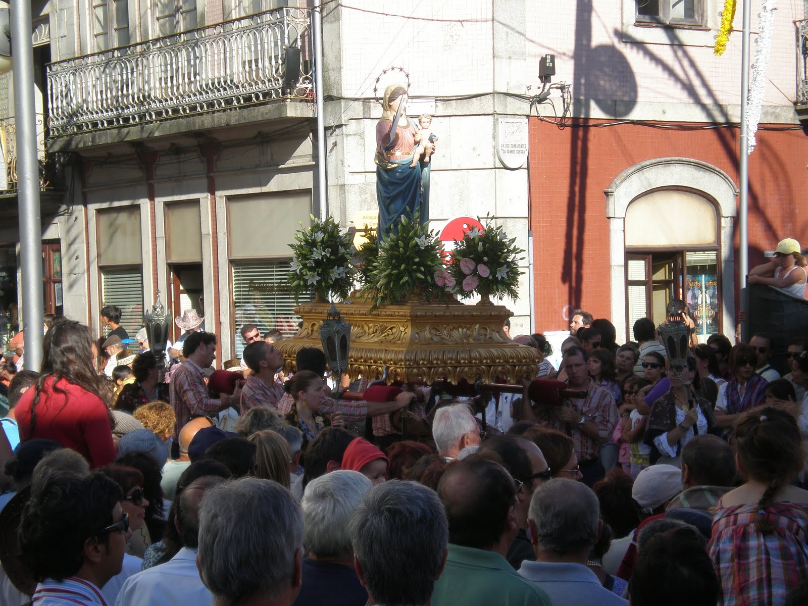 [P8210094.JPG]