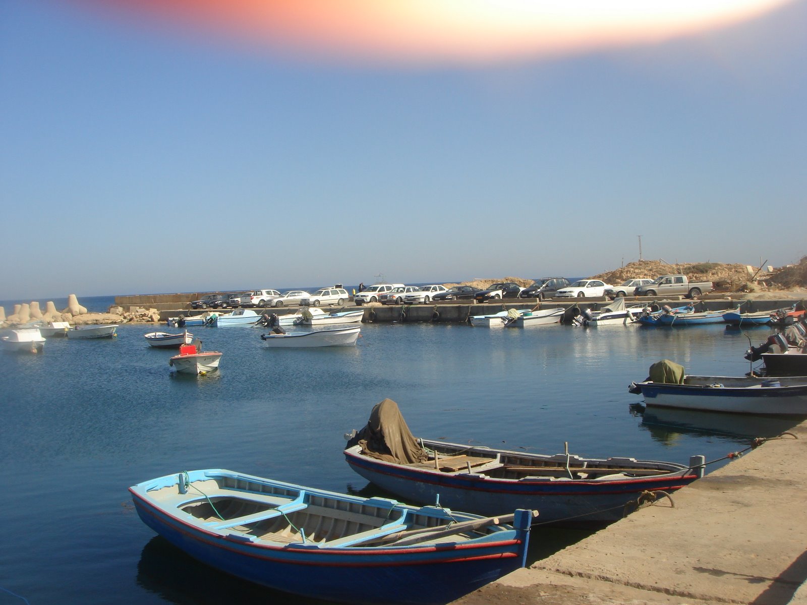 [DSC03458.JPG]