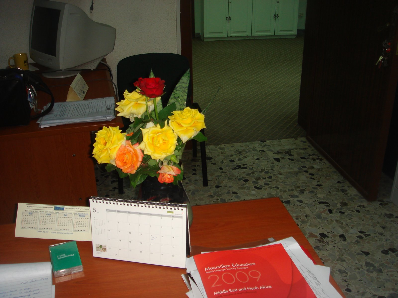 [DSC03781.JPG]
