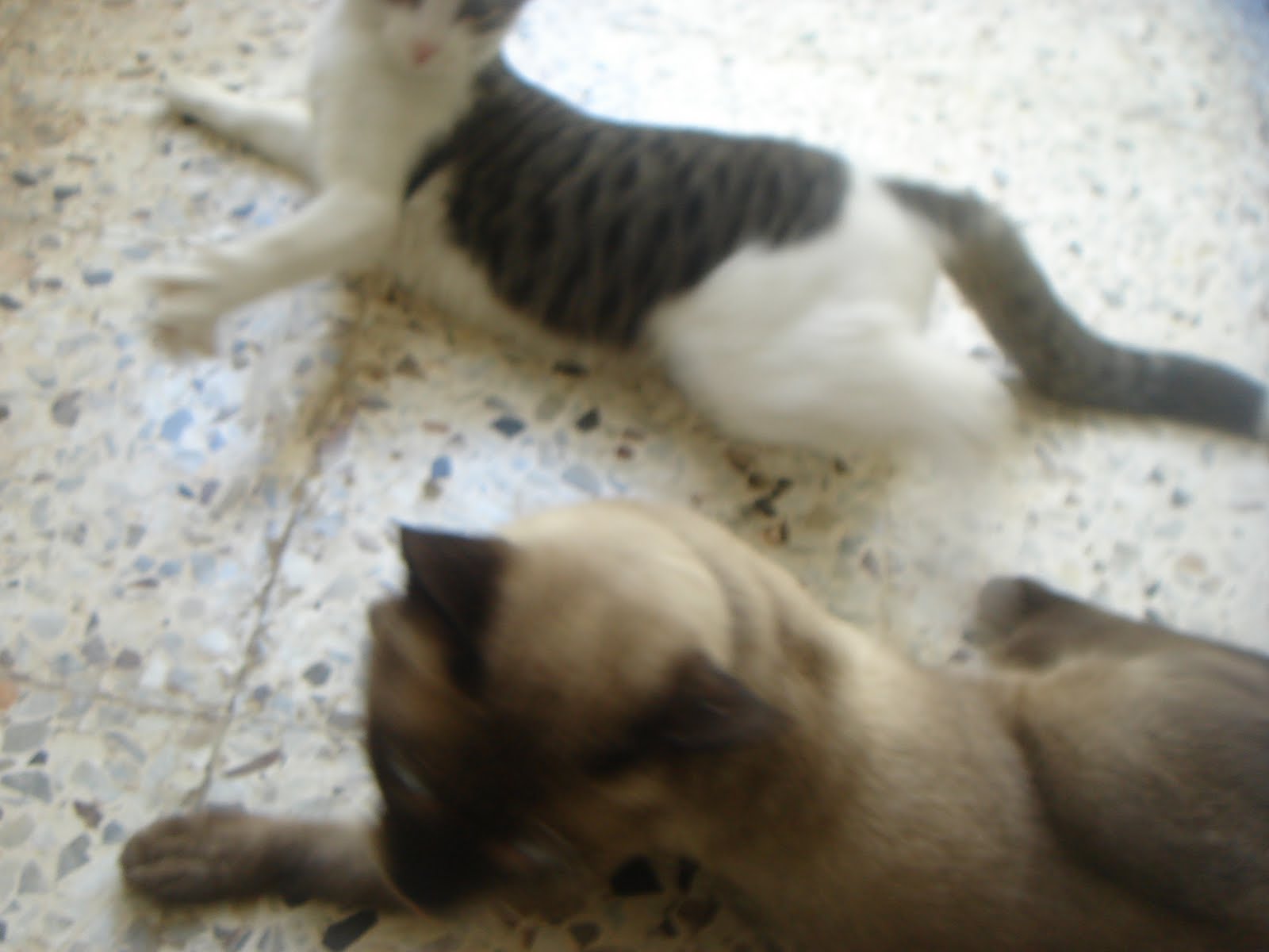 [DSC04796.JPG]