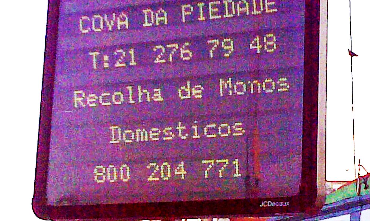 [21022009159.jpg]