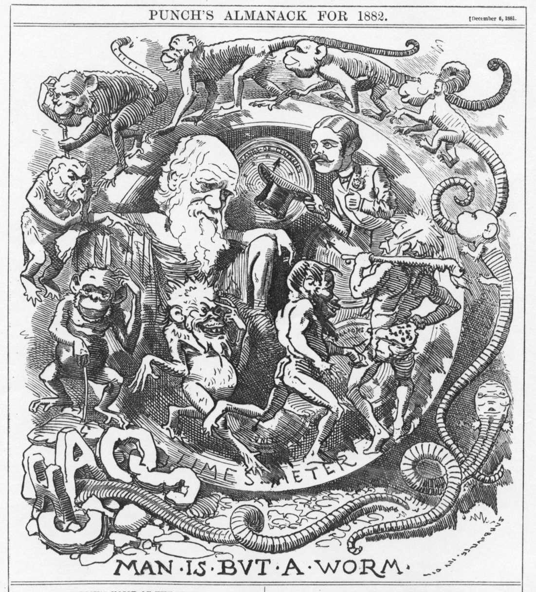 [Darwin-Worm.jpg]