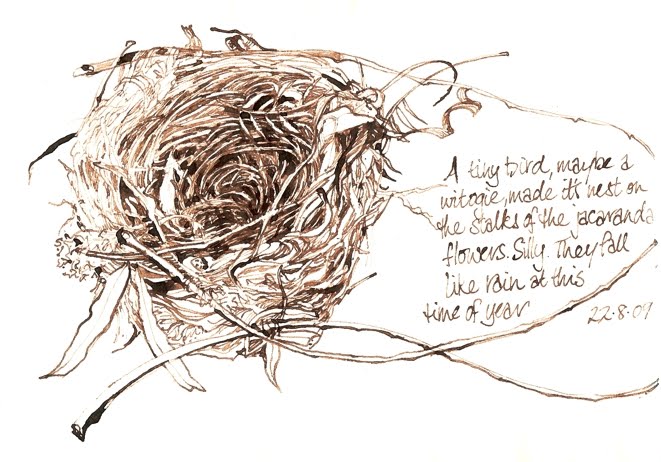 [tiny+nest.jpg]