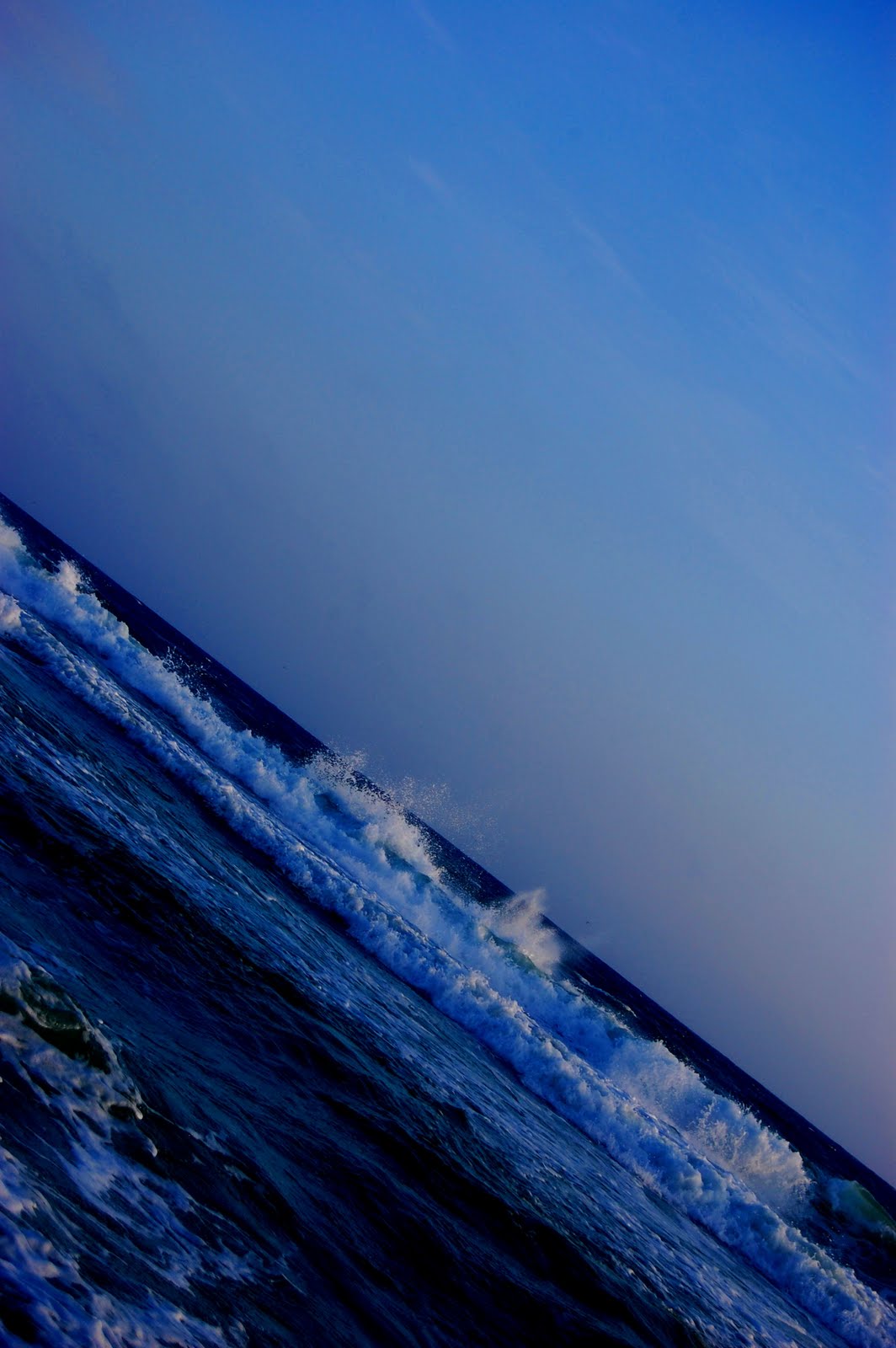 [DSC_0487.JPG]