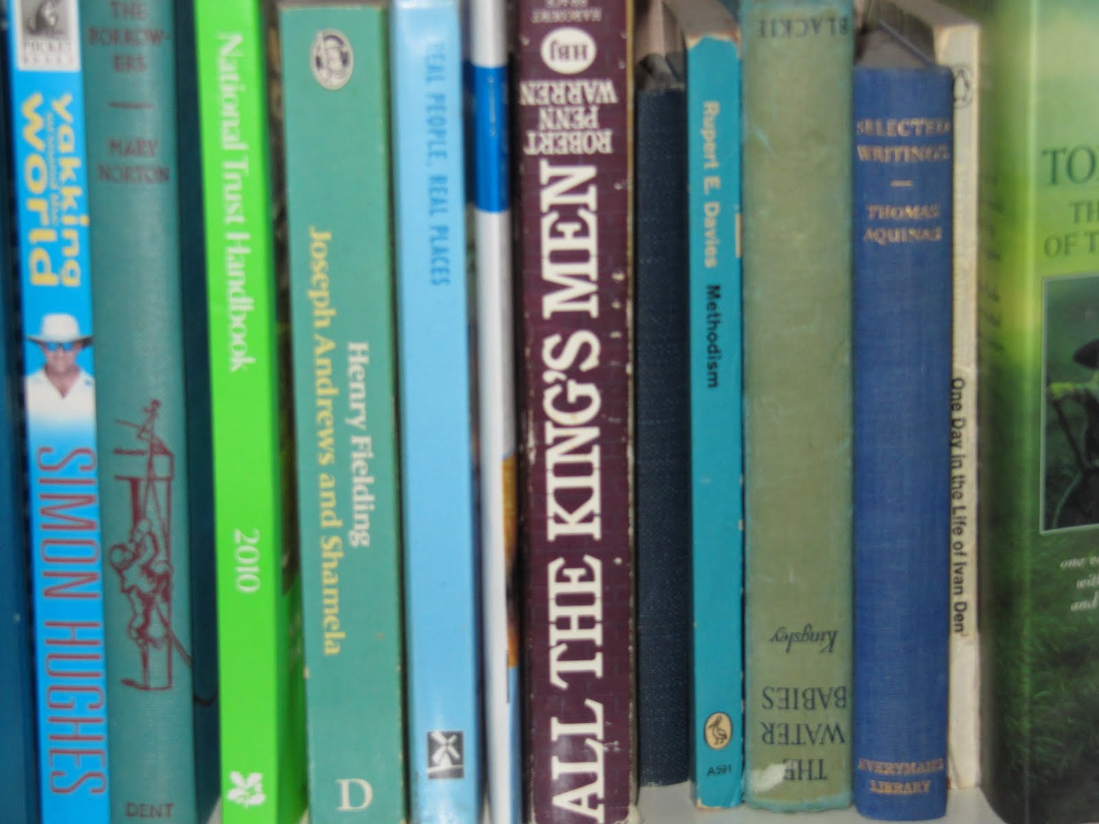 Rainbow over Bengal The bookshelf