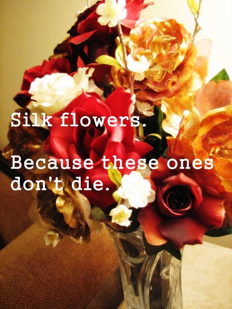 [flowers.jpg]