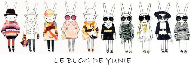 Le blog de Yunie - Vide Dressing