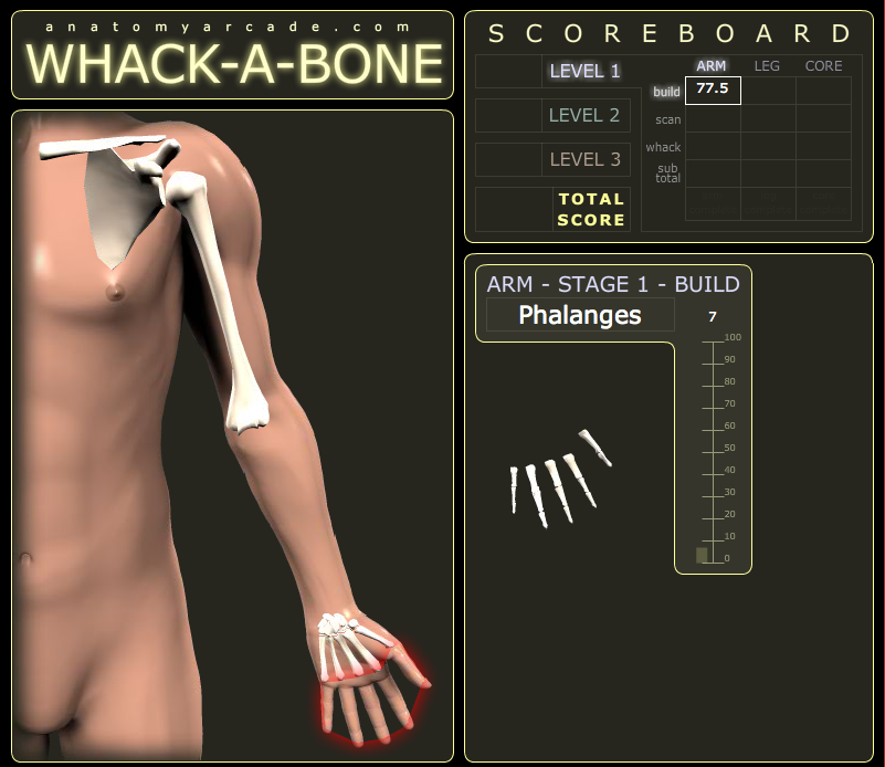bone games bone games