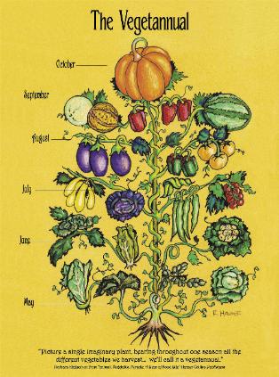 [Vegetannual-314x423.jpg]