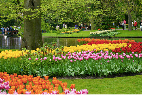 beautiful flower gardens of the world Photo beautiful flower gardens of the world Photo
