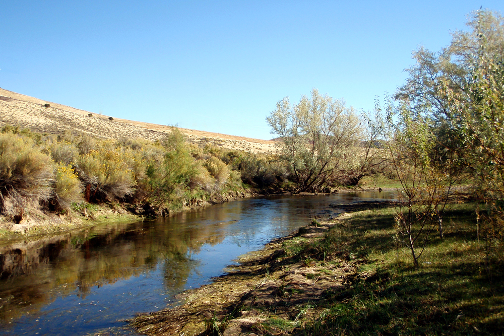 FisherDad: Beaver River and Mammoth Creek, Utah