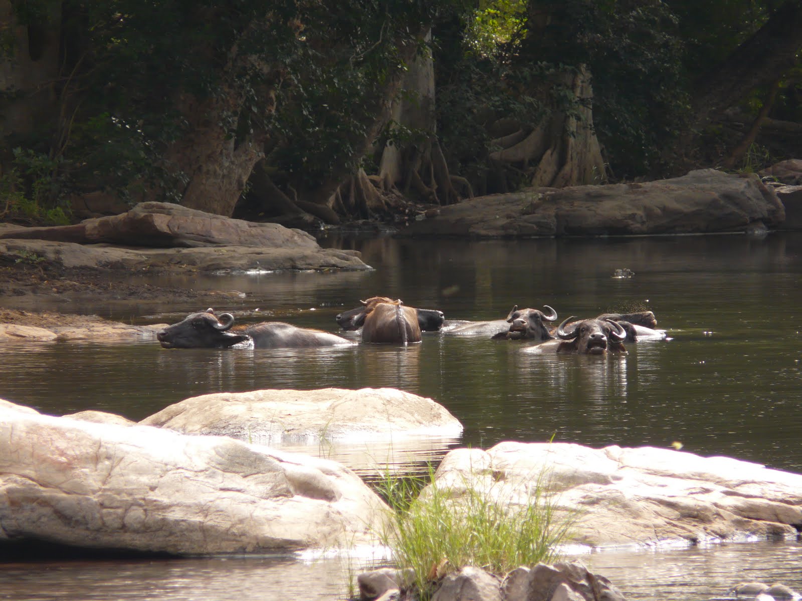 rencontre au bout du monde ladakh