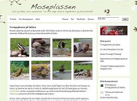[Moseplassen.JPG]