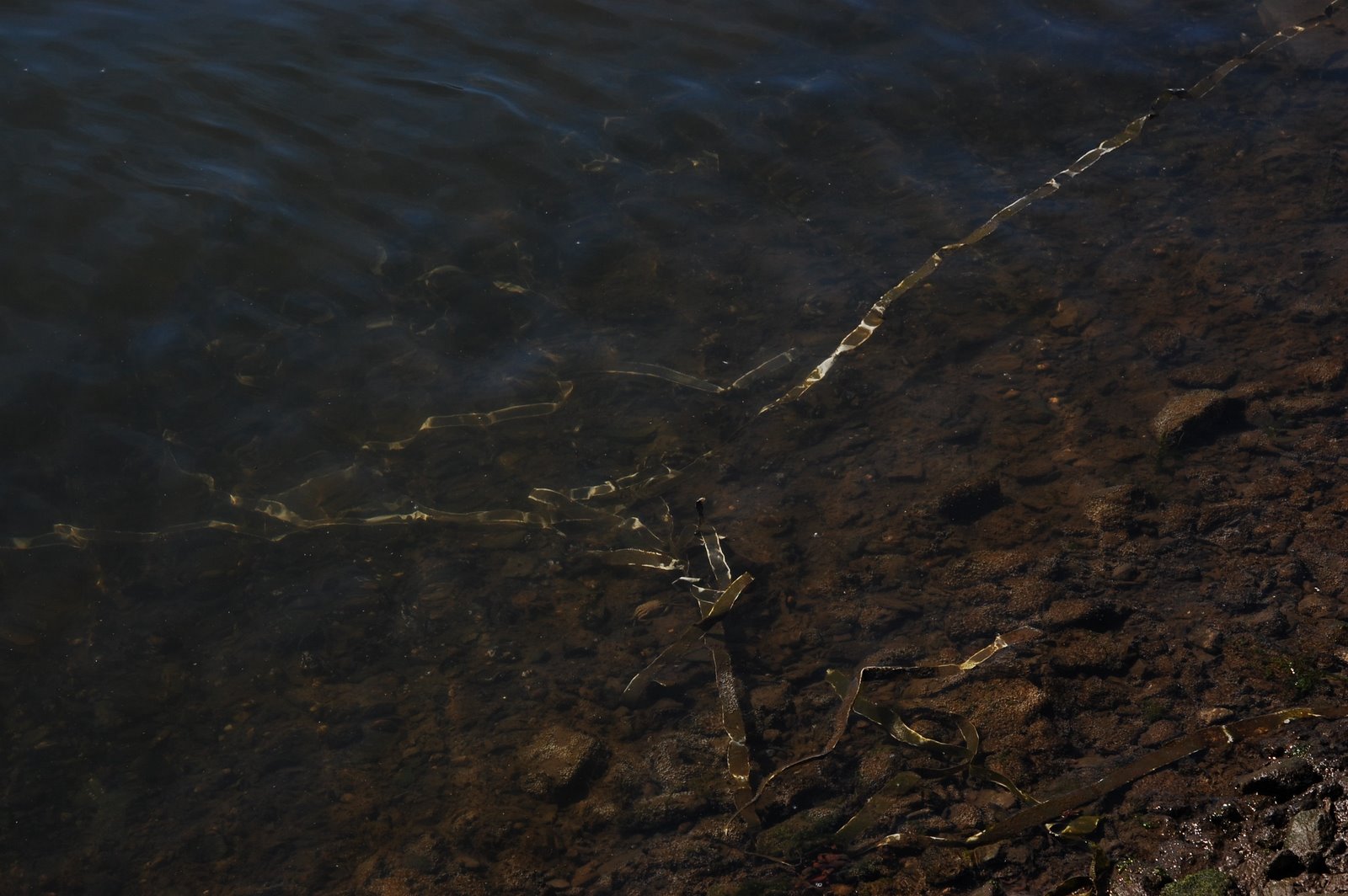 [DSC_1574_filmruller.JPG]