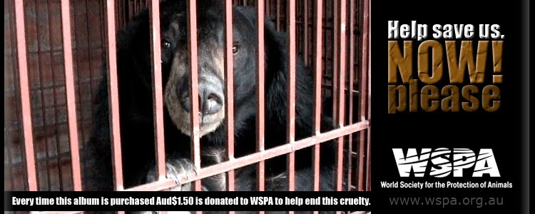 Save the Bears from Bear Bile Extraction