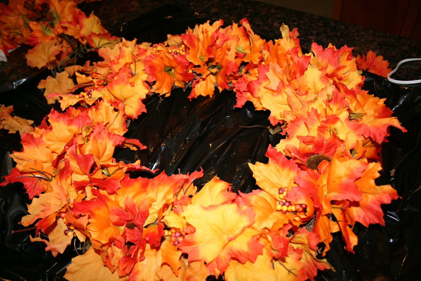 [IMG_1582.JPG.jpeg]
