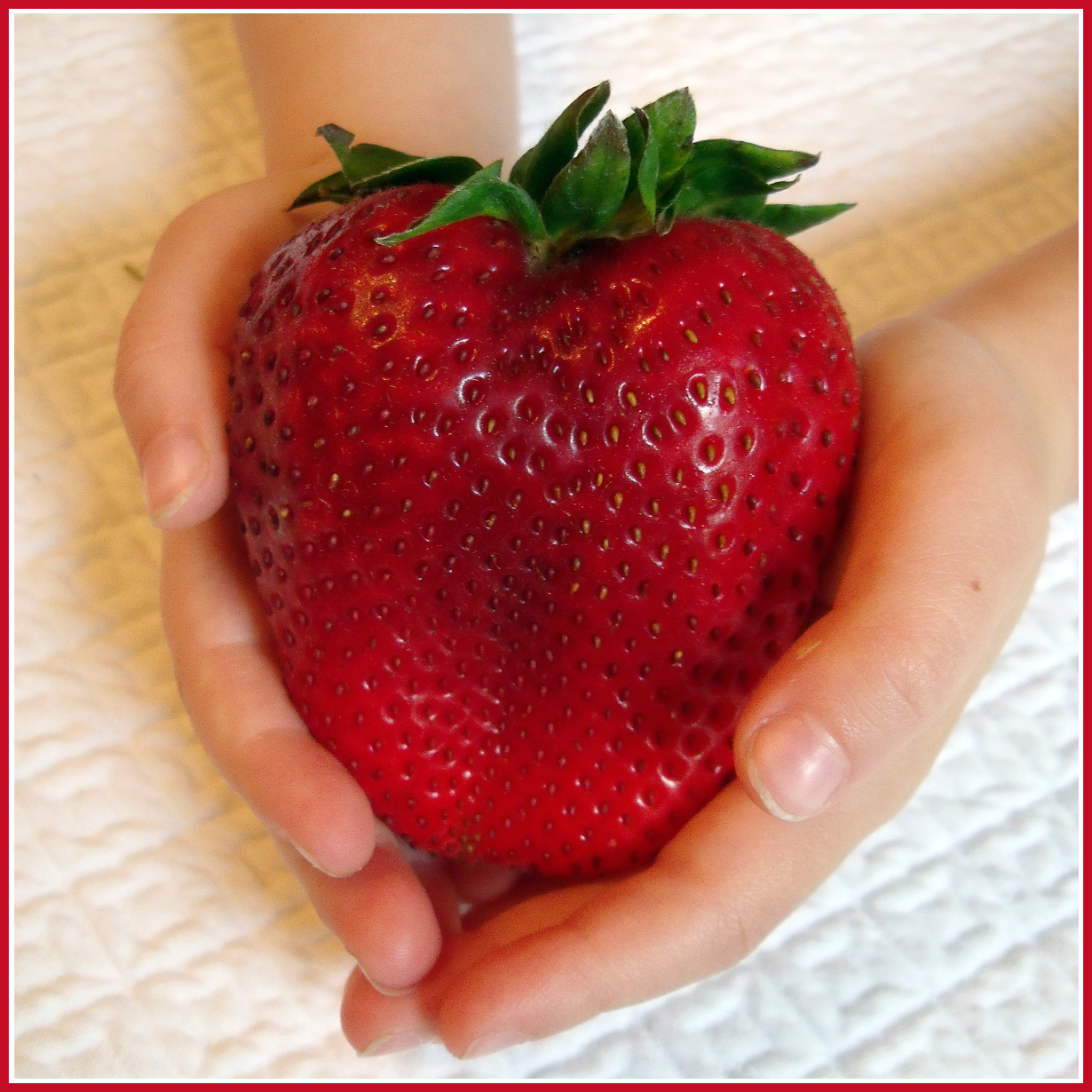 Giant Strawberries