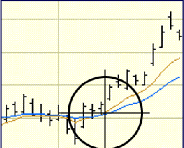 Income forex trader