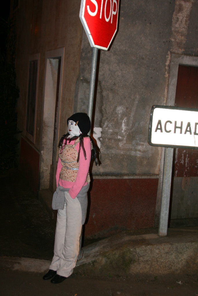 [IMG_2229.JPG]