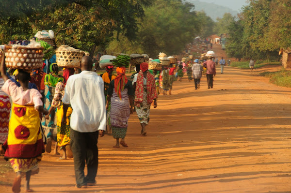 Walking to Market