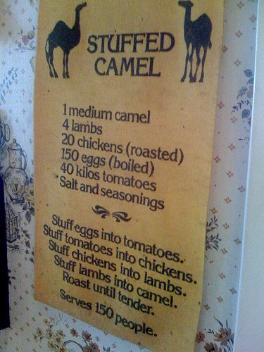 [stuffed-camel.jpg]