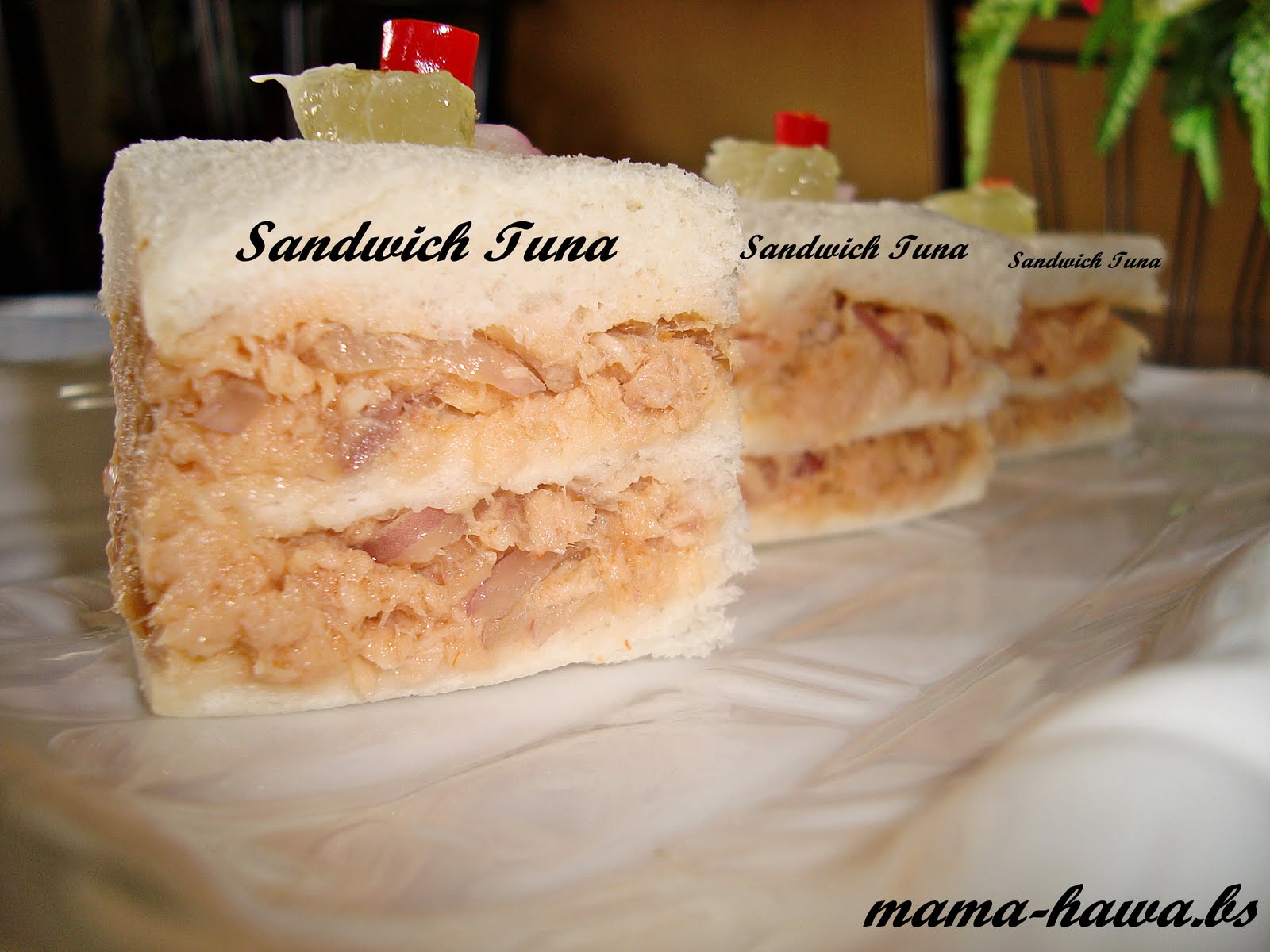 [tuna+sandwich.JPG]