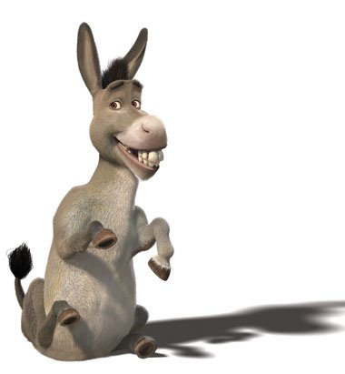 [burro.bmp]