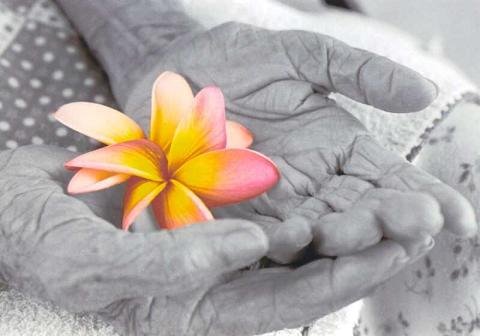 [flor1.bmp]
