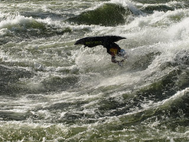 [P2159208.JPG]