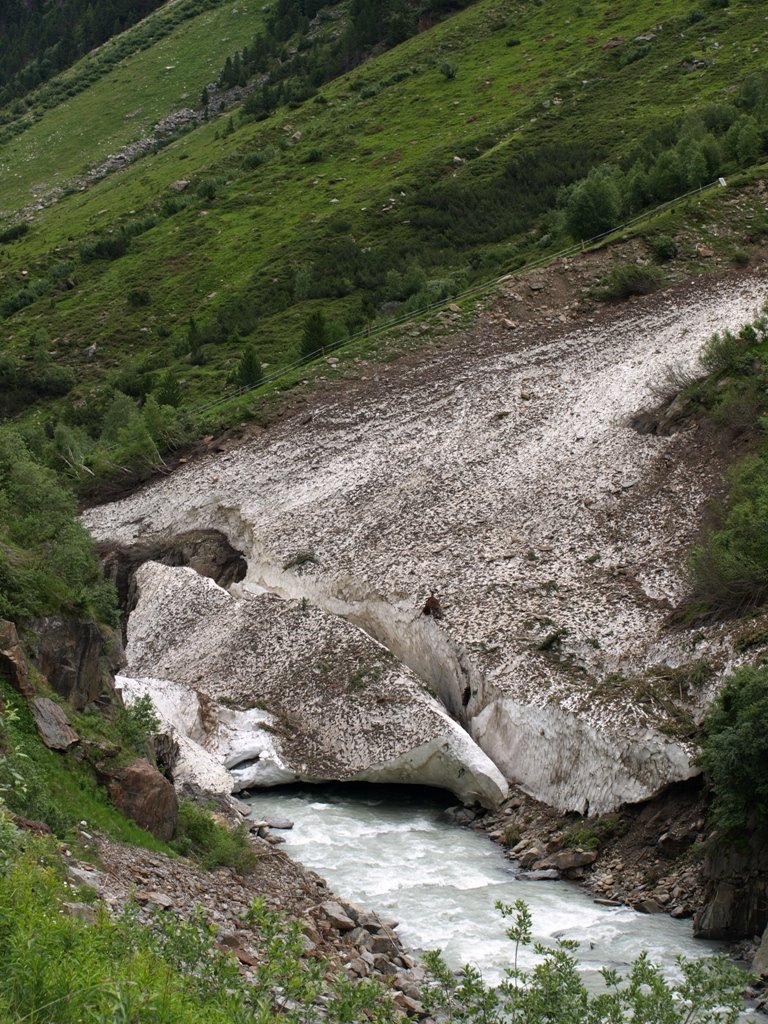 [P7127516.JPG]