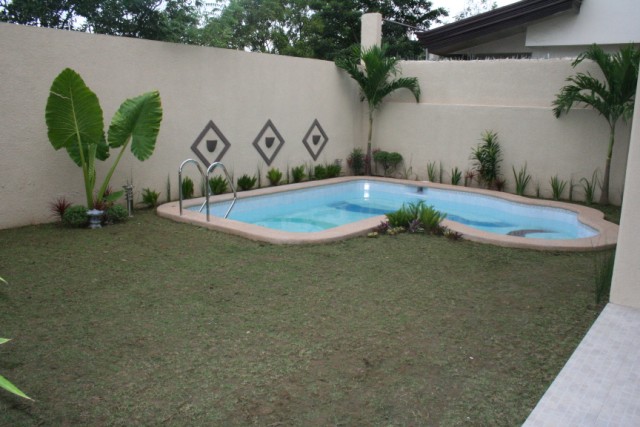 Backyard lawn and Swimming pool