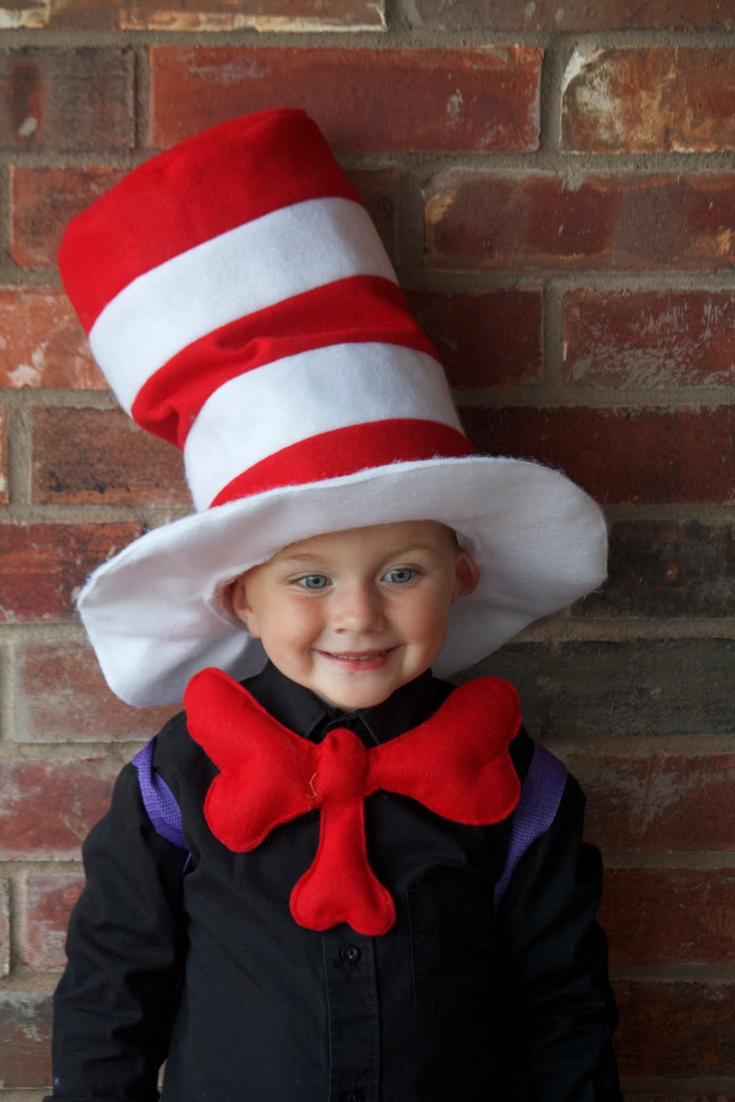 Pbs Kids Com Cat In The Hat Pbs Kids Com Cat In The Hat