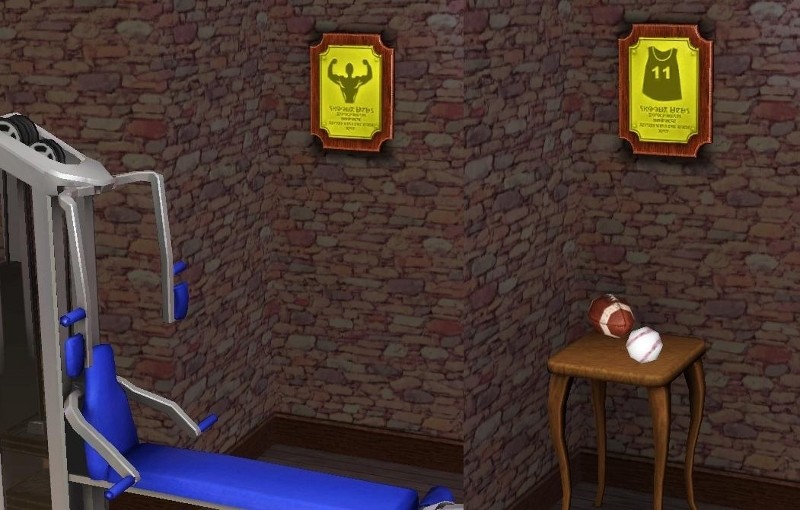 [MTS2_joninmobile_1072326_FitnessSports.jpg]