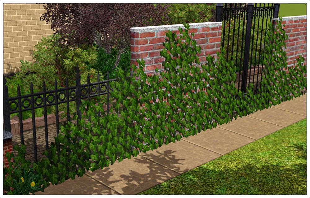 [MTS2_lemoncandy_1015380_fence.jpg]