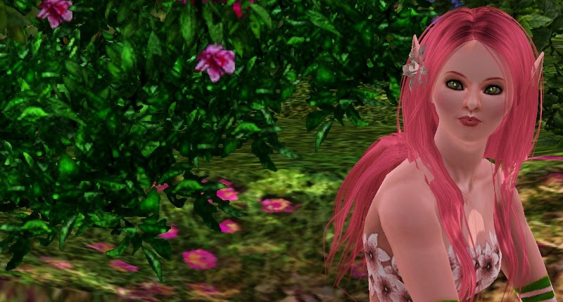 [MTS2_Anubis360_1016315_Blossom_05.jpg]