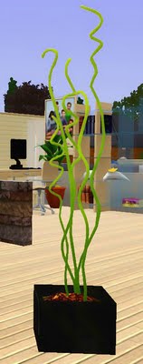 [livingset01-ss_plant.jpg]