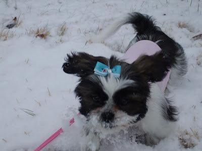 Do I look like Santa like this? Huh, Dad? Huh? Huh? Huh?