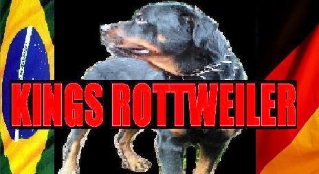 KINGSROTTWEILER