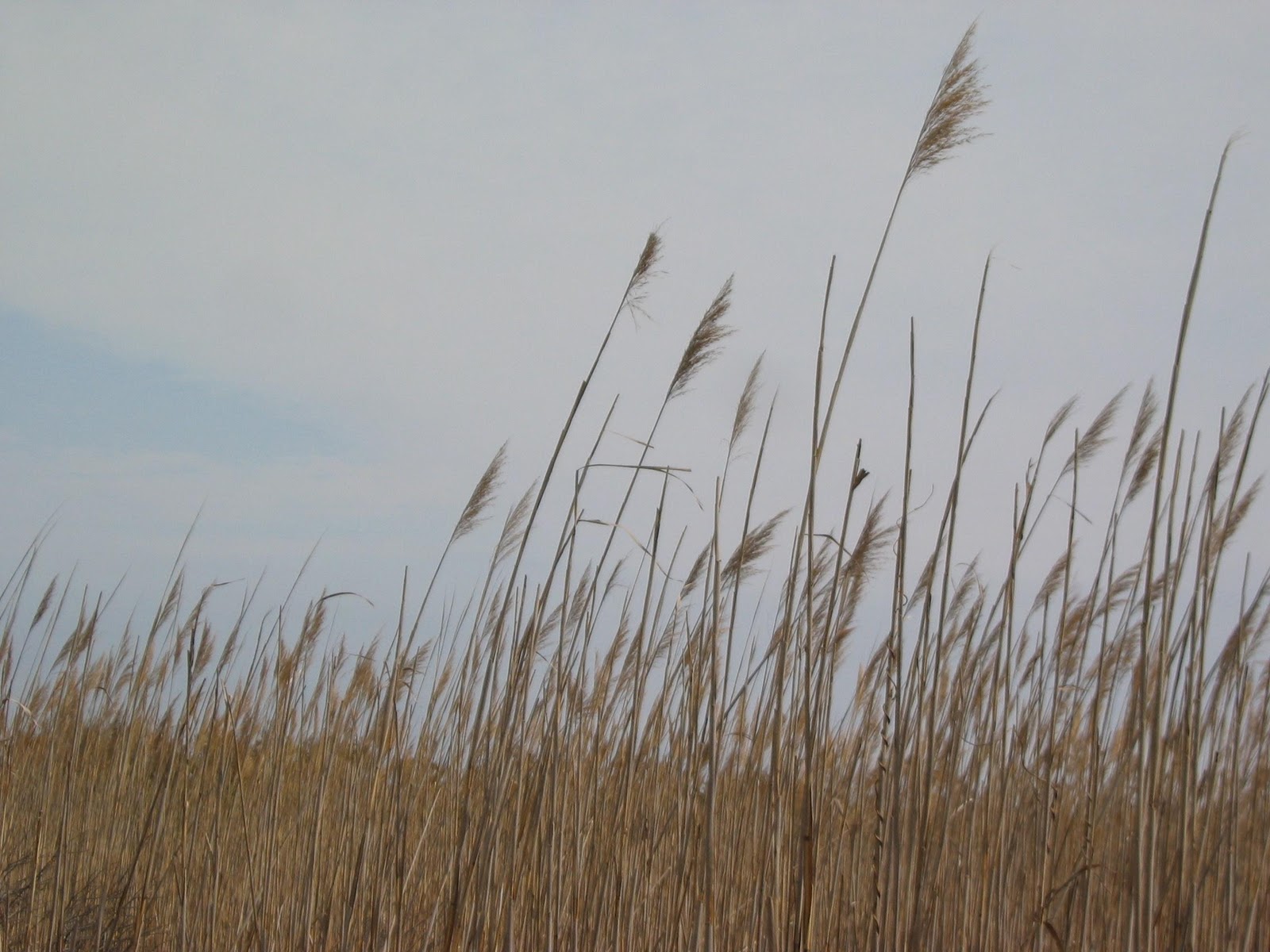 Lectionary Notes ADVENT III