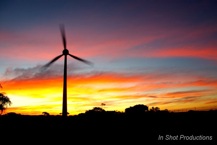 [wind+farm.jpg]