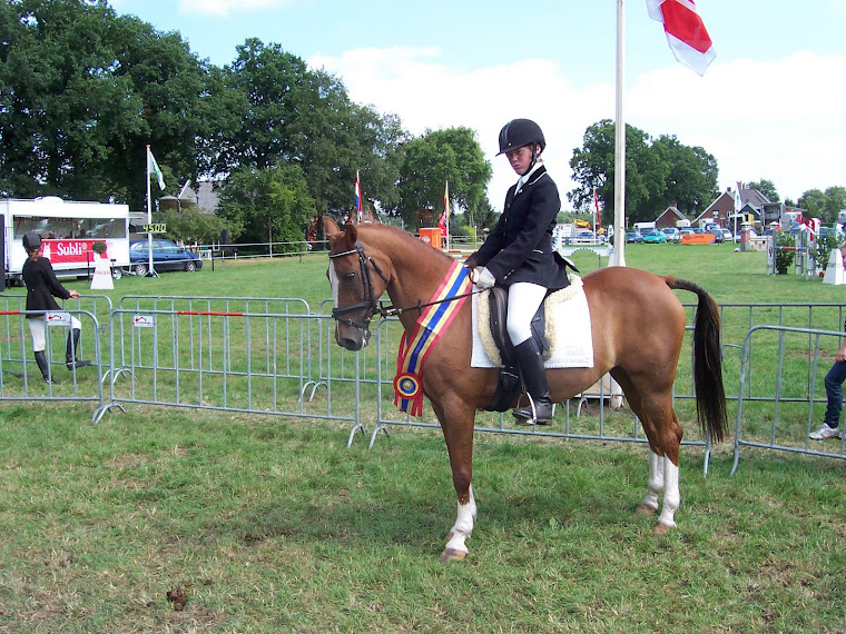 Ginger CZ1 dressuur overijssels kampioen