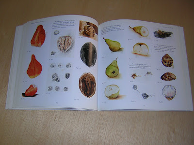 imagen del libro Mirar haciendo, hacer creando, utilizada para el comentario del libro realizado por Juan Sánchez Sotelo para la Academia de dibujo y pintura Artistas6 de Madrid imagen del libro Mirar haciendo, hacer creando, utilizada para el comentario del libro realizado por Juan Sánchez Sotelo para la Academia de dibujo y pintura Artistas6 de Madrid