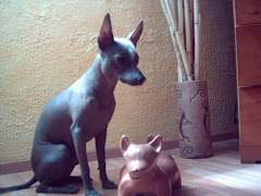 Dos perros aztecas