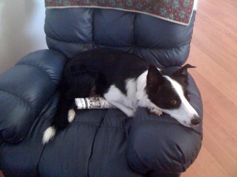 [couch.bmp]